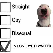 Love Walter Memes Walter Funny