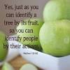 'a tree is identified by its fruit. 1