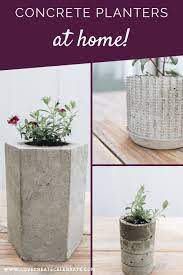 Easy Diy Concrete Planters Love Create Celebrate Concrete Diy Concrete Planters Diy Concrete Planters