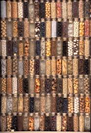 What seeds are stored in banks? Pin On My Garden
