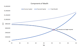 Wealth Accumulation and Human Capital - Swell Asset Management