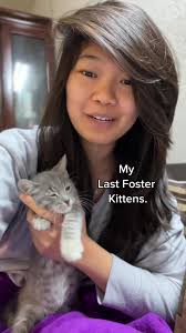 Farewell to my Last Foster Kittens: Life Updates and Travel Plans