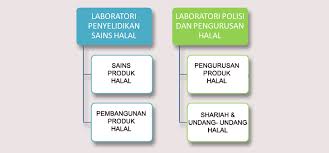 Matlamat utama syarikat ini adalah menjadi peneraju dalam industri antiseptik dan disinfektan berasaskan bahan semulajadi dan organik setanding dengan produk antarabangsa dan. Program Pengajian Institut Penyelidikan Produk Halal