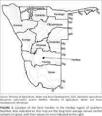 Image result for Leucosphaera bainesii