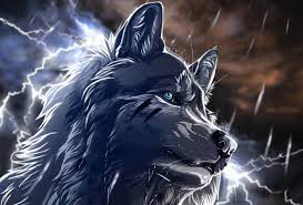 For wallpapers that share a theme make a album instead of multiple posts. 45 Anime Wolf Wallpapers On Wallpapersafari
