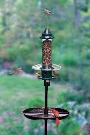 Bird Feeder Pole With Squirrel Baffle Uk Squirrel Resistant Feeders Barrie On Squirrel Proof Bird Feeders Bird Feeders Best Bird Feeders