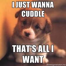 Can I Cuddle With You Puppy Meme Google Search Puppy Meme Puppy Quotes Cute Couples Cuddling