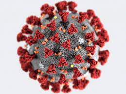 Spread the facts, not the virus. Optischer Biosensor Erkennt Covid 19 Virus All Electronics