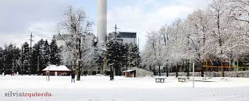 Fin De Semana De Frio Y Nieve Zurich