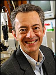 Materials and Nanotechnology