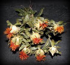 40 Dried Safflower Carthamus Short Stems Yellow Etsy Orange Wedding Flowers Dried Flowers Yellow Flowers