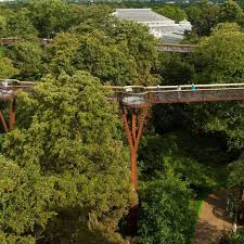 Kew Gardens Kew Gardens Dicas De Viagem Viagem Londres