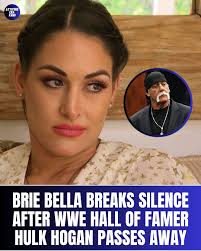 Brie Bella broke silence in a post