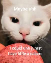 Cats can have little a salami sticker. 25 Little A Salami Ideas In 2021 Salami Cats Memes