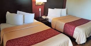 Budget Pet Friendly Hotel In San Antonio Tx 78218 Pet Friendly Hotels Red Roof Red Roof Inn