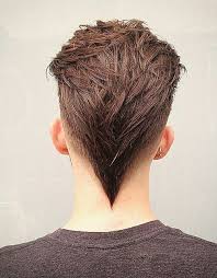 15 best men's haircuts for looking instantly younger. V Cut Hair Style Boys Novocom Top