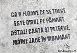 Nu poţi să mai interacţionezi. 20 Citate Frumoase De Pus Pe Cruce Si Epitafe Celebre Cu Imagini