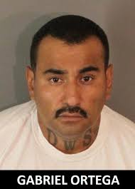 Anaheim Police homicide detectives have arrested 26-year-old Irvine  resident, Ramy Fahim