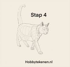 Wat denk je van deze witte ijsbeer? Realistische Kat Leren Tekenen Hobbytekenen Nl Hobbytekenen Nl