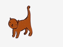 Are there any funny animal gifs on facebook? Cute Animal Animation Gifs Tenor