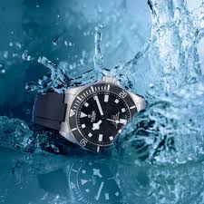 Image result for diving watch