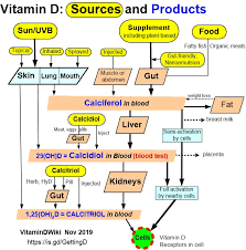 Very few foods naturally contain or are fortified with. Overview Rare Allergic Reaction To Vitamin D Vitamindwiki