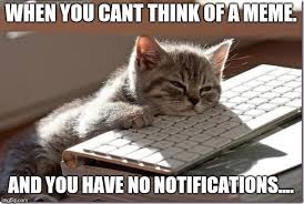 Bored Keyboard Cat Imgflip