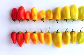 Photographer Arranges Foods In Beautiful Color Gradients That Will Soothe Your Soul Food Photography Fruit Veggie Art Eat The Rainbow