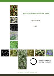 Image result for Kyllinga merxmuelleri