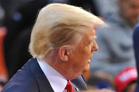 The donald trump we all know is a fiesty older man with an iconic combover. Donald Trump Hair Hideous Or Handsome The Gentleman S Journal