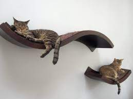 Amazing Wall Mounted Cat Bed Ideas Best Home Decorations Magazine Viccin Cat Wall Shelves Cat Wall Cat Furniture Diy