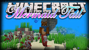 It is specifically designed for use in smartphones, pdas and other mobile devices. Mermaid Tail Mod 1 17 1 Mythical Creatures Ocean Adaptations 9minecraft Net