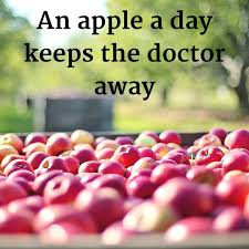 Durfen Hunde Apfel Essen Gesund Mit Schale Obst Und Hausmittel Apfel Essen Schale