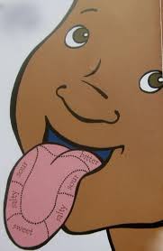 The Attached Mama Fiar Lentil By Robert Mccloskey Robert Mccloskey Kindergarten Science Science For Kids