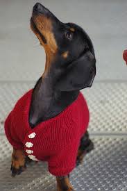 Un Blog Sobre Nuevos Formatos De Punto Y De Ganchillo A Blog About New Ways Of Knitting And Crocheting Dog Sweaters Doggy Fur Babies