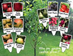 Amounteach current price$3.99 * quantity 9 oz. Aldi Fruit Trees 2014 Rootstock Handmade With Joy
