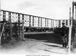 Since 1975, the race has finished on the champs. Grosse Razzia In Paris Anne Frank Haus