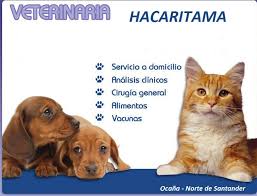 Veterinaria Hacaritama