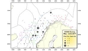 Jun 24, 2021 · hann: Forskarar Med Darleg Nyheit Det Er Pukkellaksar Havforskningsinstituttet