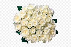 Sorry, your download speed is too frequent, and the system suspects that there is a risk of robot operation. Download Flowers Clipart Birthday Roses Rose Bouquet Clipart White Png Free Transparent Png Images Pngaaa Com