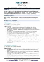 • financial analyst job placements demand applicants having a bachelor´s or a graduate degree. Risk Analyst Resume Samples Qwikresume