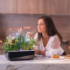 نتیجه جستجوی لغت [veritable] در گوگل