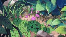 Plants GIFs | Tenor