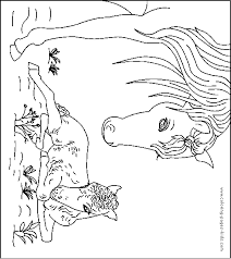 Of horses and foals coloring pages are a fun way for kids of all ages to develop creativity, focus, motor skills and color recognition. Horse With A Foal Color Page