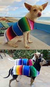 handmade baja dog ponchos dog poncho cute chihuahua dog clothes