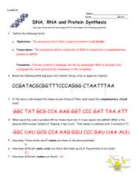 An answer sheet is provided for you mark your answers to the test questions. Worksheet Dna Rna And Protein Synthesis