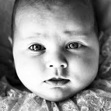 Tidligere utstillinger på Det kongelige slott