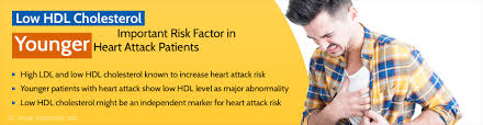 Low Hdl Cholesterol Levels Major Risk For Young Age Heart Attack