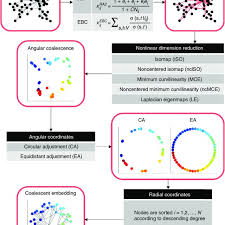 Flow Chart Of The Coalescent Embedding Algorithm The