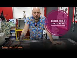 Kedilerde Kisirlastirmanin Bir Zarari Var Mi Youtube